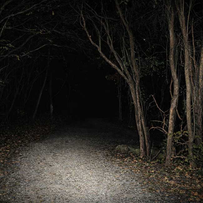 Hermitage Ruins Ghost Walks in Ancaster (Hamilton) - Dark Path Promo