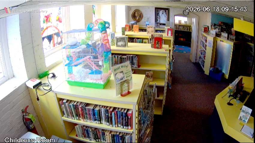 Willard Library in Evansville, Indiana | Grey Lady & her Hated Father - Cam in basement Children's Room